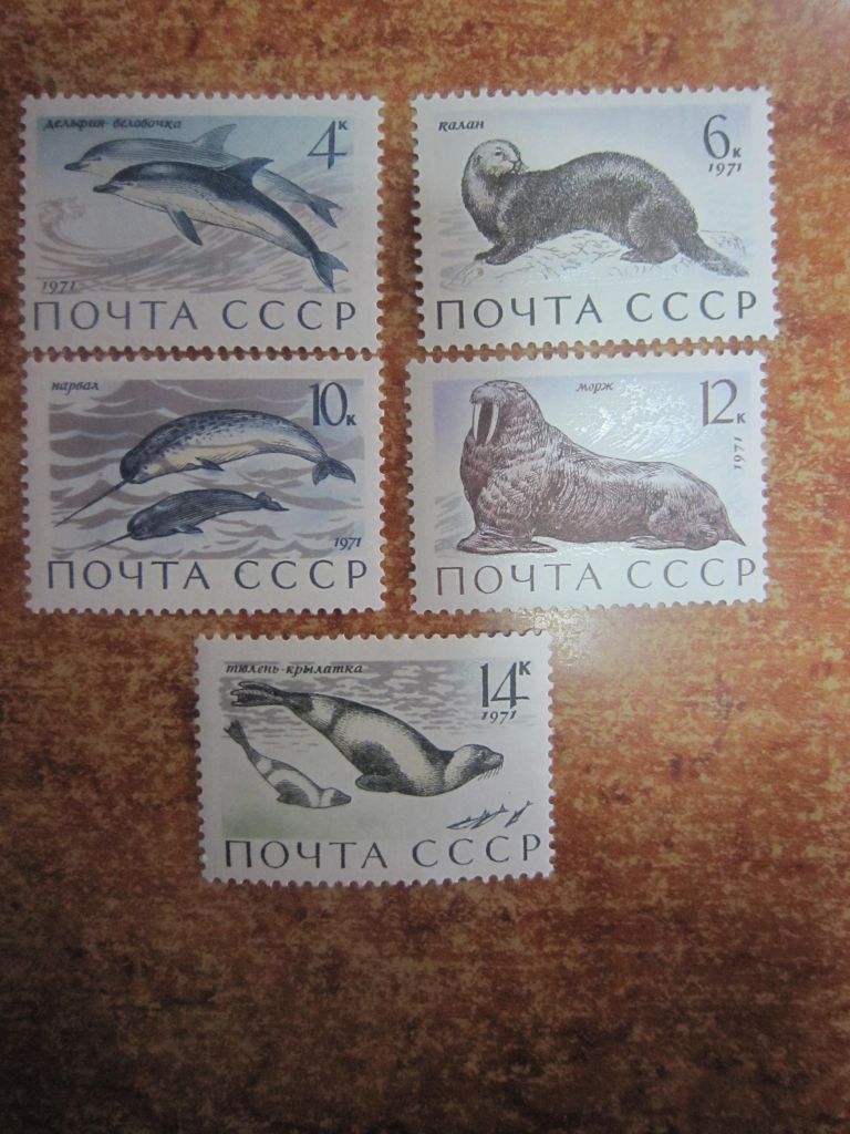 СССР. 1971. 12 АВГУСТА.  МЛЕКОПИТАЮЩИЕ - ОБИТАТЕЛИ  МОРЕЙ И ОКЕАНОВ.    ** - фото фото фото 0