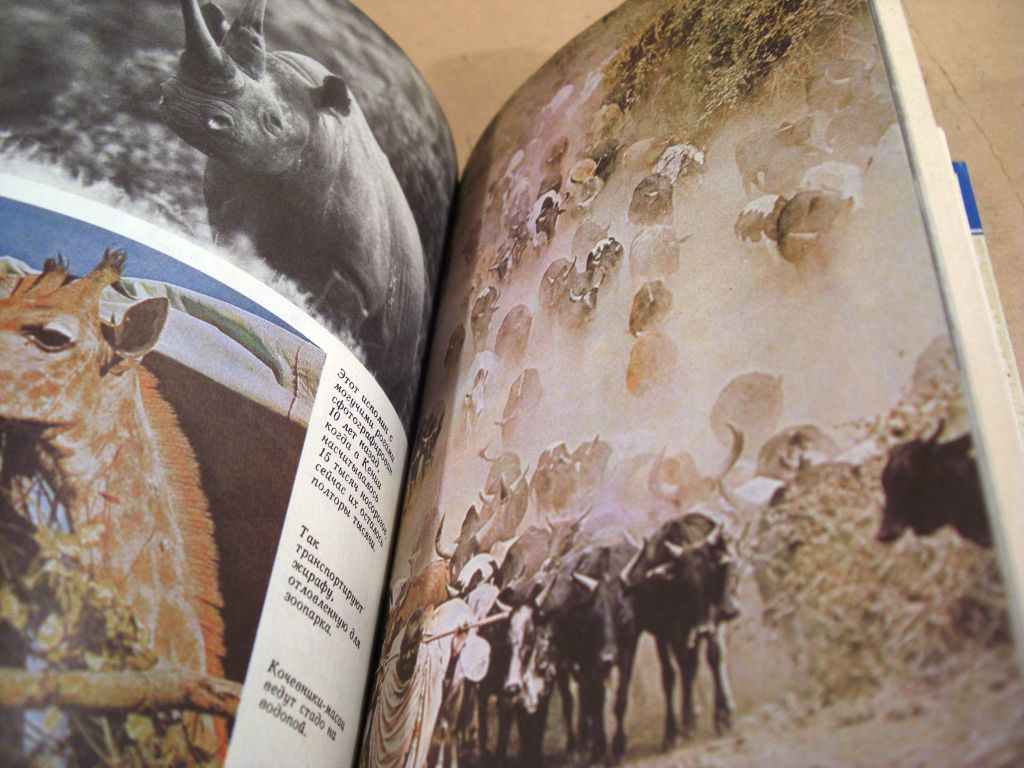 Дмитрий Горюнов. Возвращение в Африку   (Стрела) - фото фото фото 3