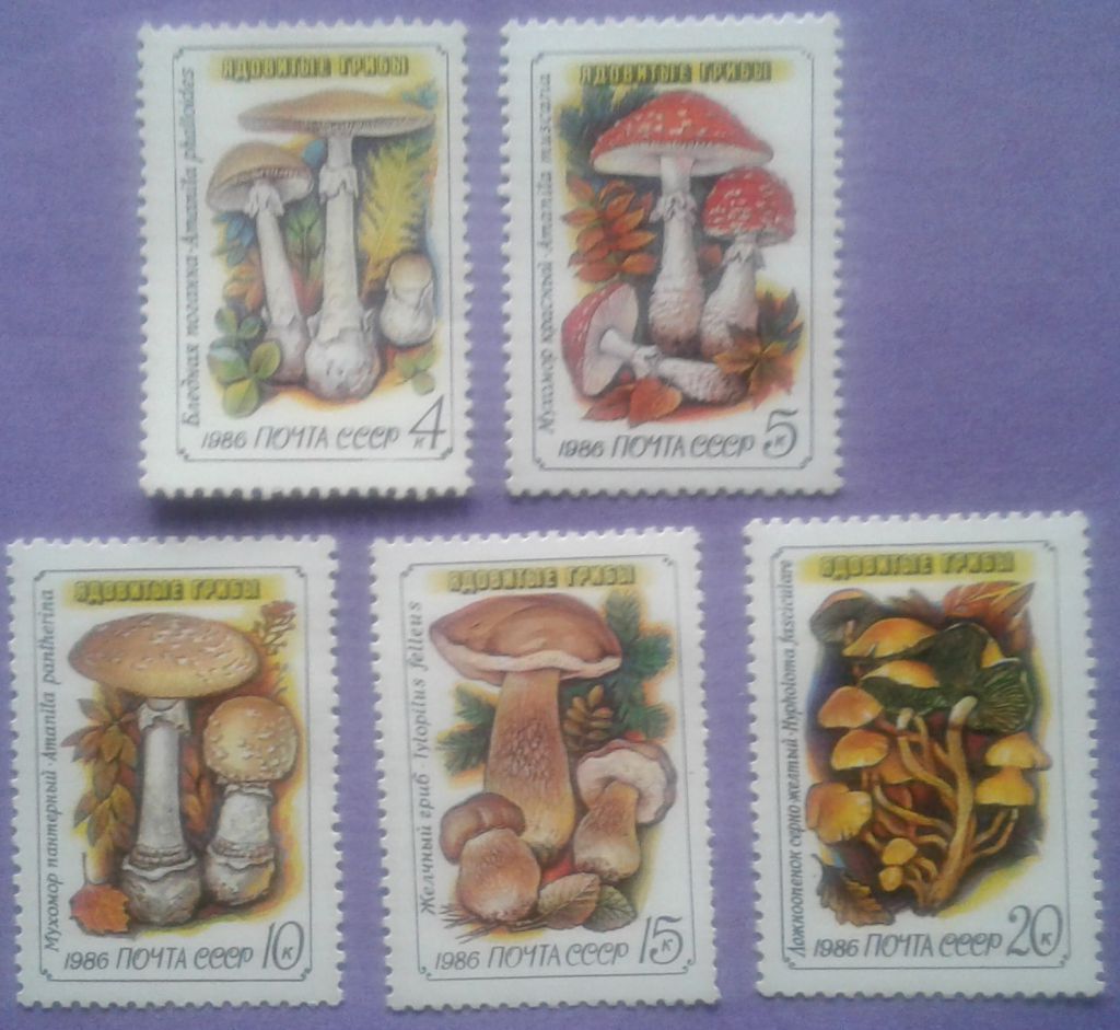 СССР 1986 флора грибы СК 5655-5659 MNH - фото фото фото 0