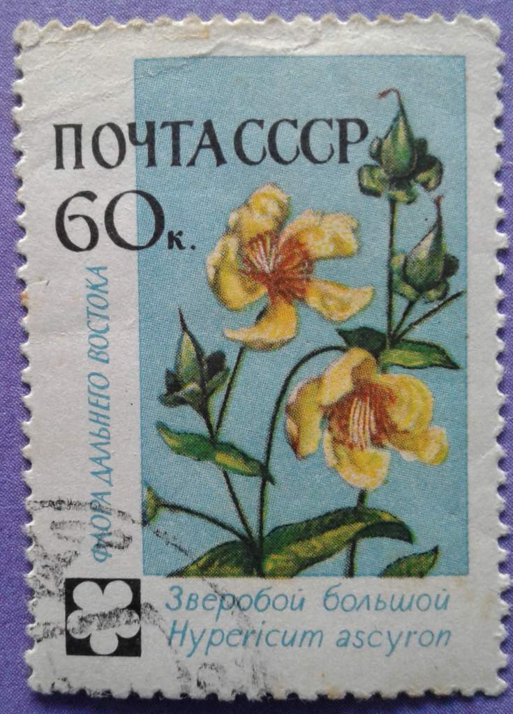СССР 1960 флора цветы СК 2415 стоки - фото фото фото 0