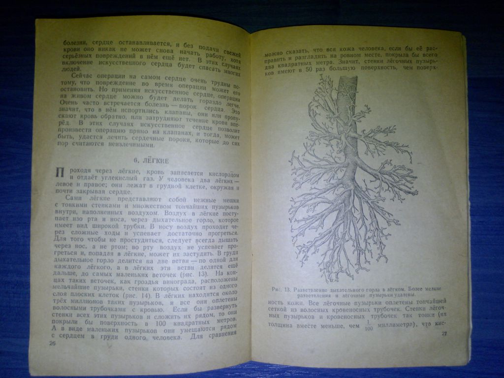 книга: СТРОЕНИЕ И ЖИЗНЬ ЧЕЛОВЕЧЕСКОГО ТЕЛА 1946г.; - фото фото фото 4