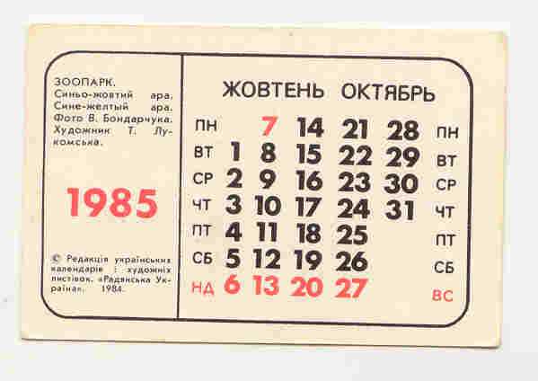 СССР 1985 Календарик Флора Фауна  Попугай Бондарчук - фото фото фото 1