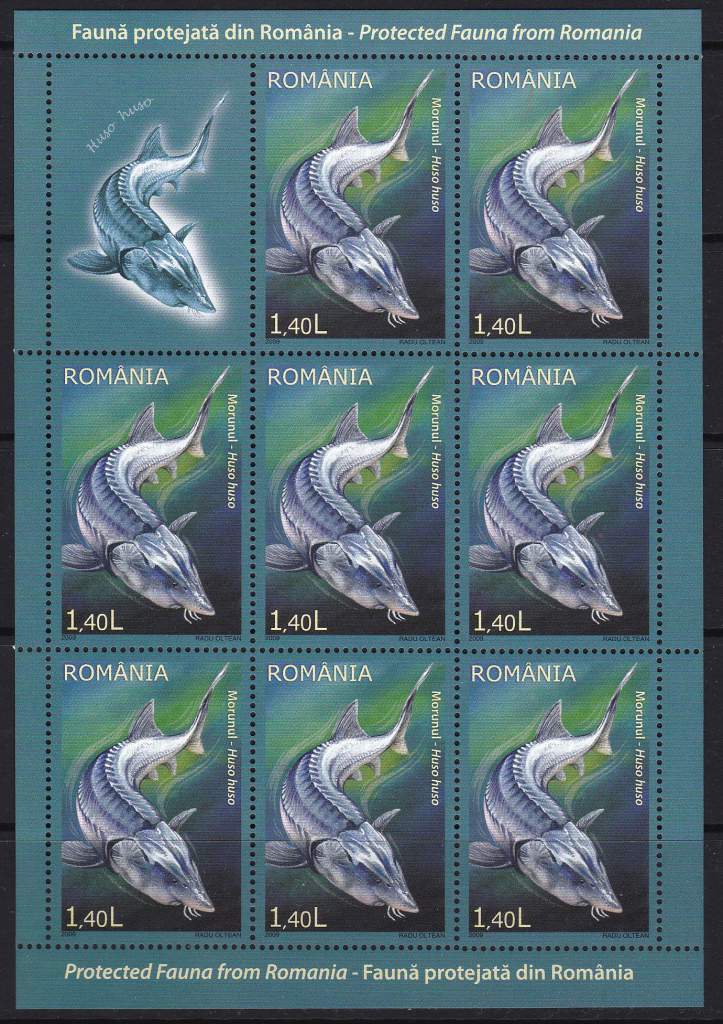 Румыния,фауна,черепахи,рыбы,птицы,6 м/л- 60 михель евро - фото фото фото 1