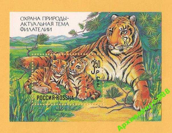 РФ 1992 Природа Ландшафты Фауна Тигр Кошки БЛОК** - фото фото фото 0