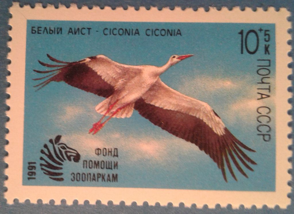СССР 1991 фауна птицы СК 6225 MNH - фото фото фото 0