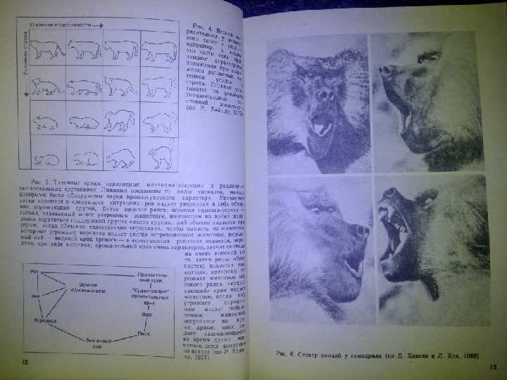 КНИГА: ЗАНИМАТЕЛЬНАЯ БИОАКУСТИКА 1983г. - фото фото фото 3