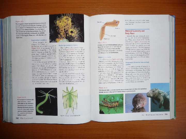 Книга BIOLOGY на англ. яз. - фото фото фото 7
