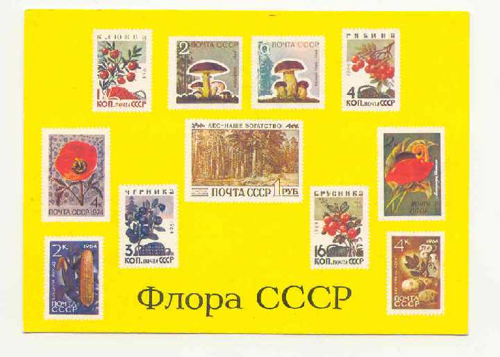 СССР 1975 Сувенирный листок -открытка Флора - фото фото фото 0