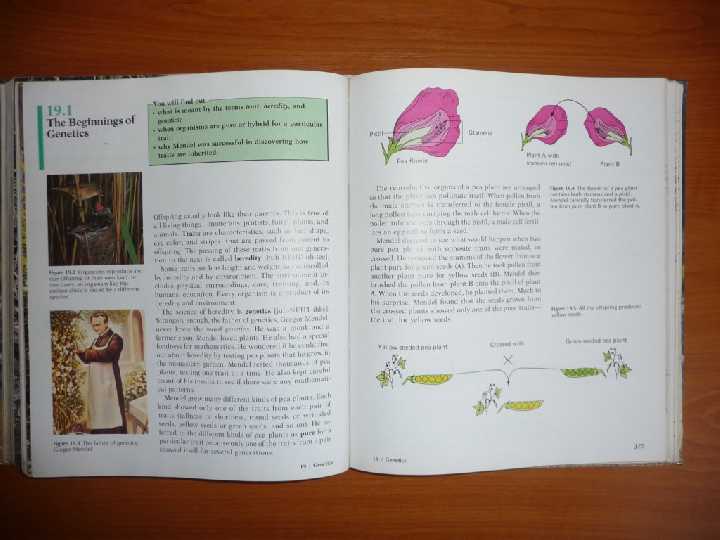 Книга Heath Life Science на англ. яз. - фото фото фото 6