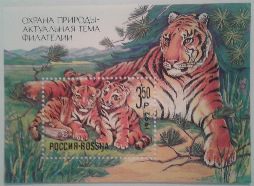 Россия 1992 фауна СК блок 1 MNH - фото фото фото 0
