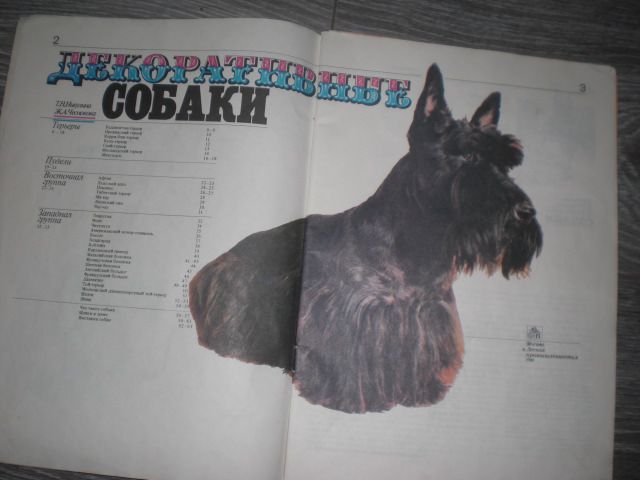декоративные Собаки Т.Н. Никулина - фото фото фото 1
