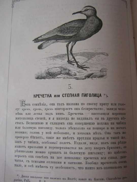 Книга Аксаков *Записки ружейного охотника*1885г - фото фото фото 3
