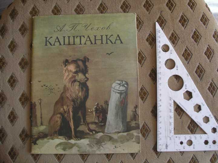 А. Чехов Каштанка - фото фото фото 0