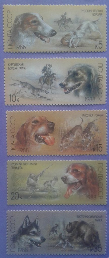 СССР 1988 фауна собаки СК 5879-5883 MNH - фото фото фото 0