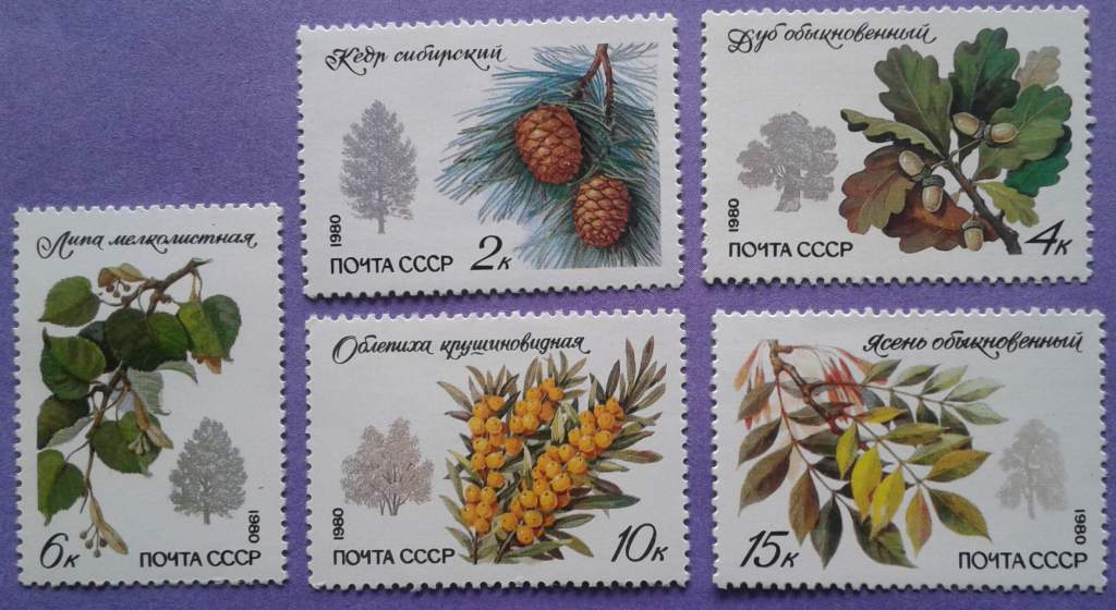 СССР 1980 флора деревья СК 5052-5056 MNH - фото фото фото 0