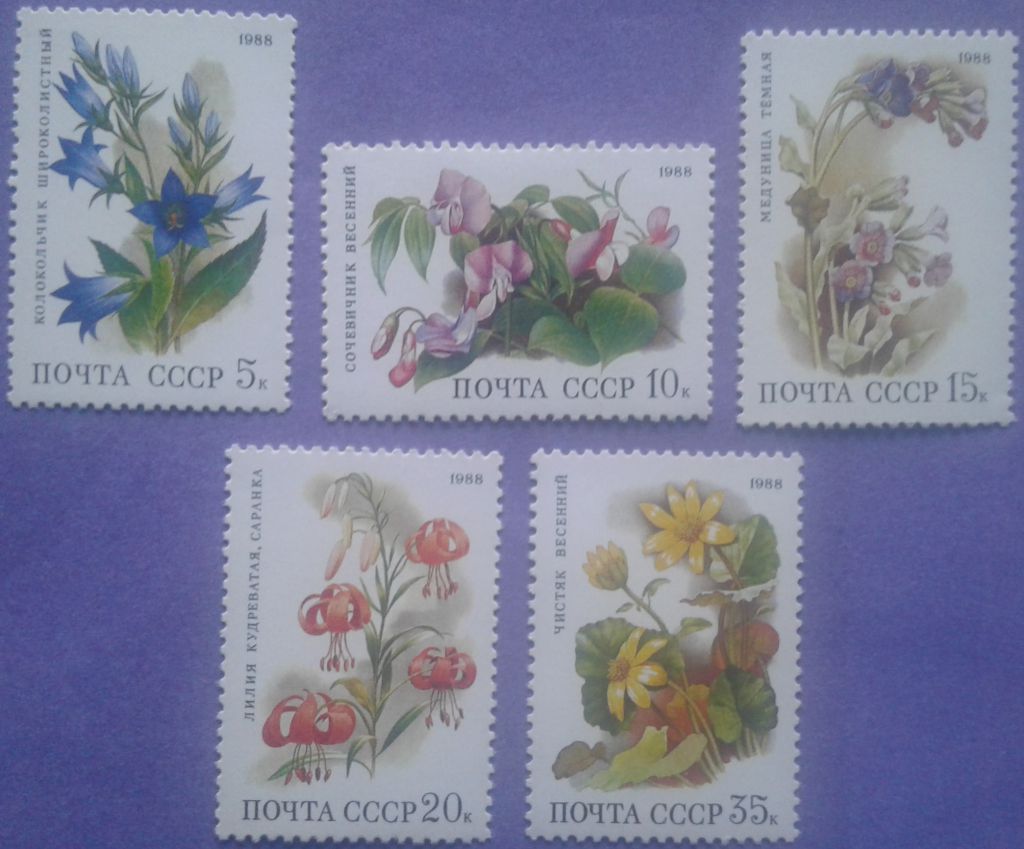 СССР 1988 флора цветы СК 5899-5903 MNH - фото фото фото 0
