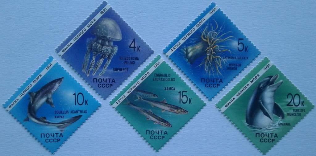 СССР 1991 фауна Черного моря СК 6214-6218 MNH - фото фото фото 0