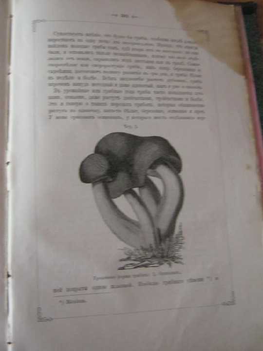 Книга Аксаков *Записки ружейного охотника*1885г - фото фото фото 5