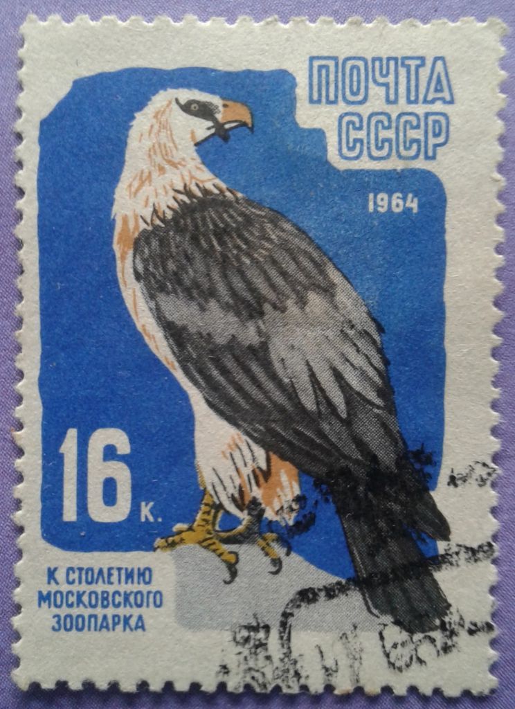 СССР 1964 фауна птицы СК 2962 - фото фото фото 0