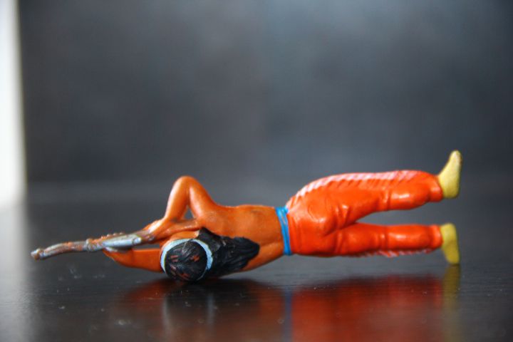индеец ГДР №023 Оцеола Lisanto РЕДКИЙ ЦВЕТ !! - фото фото фото 2