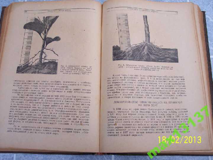 Книга И.В.Мичурин - Избранные труды 1939 г. - фото фото фото 5