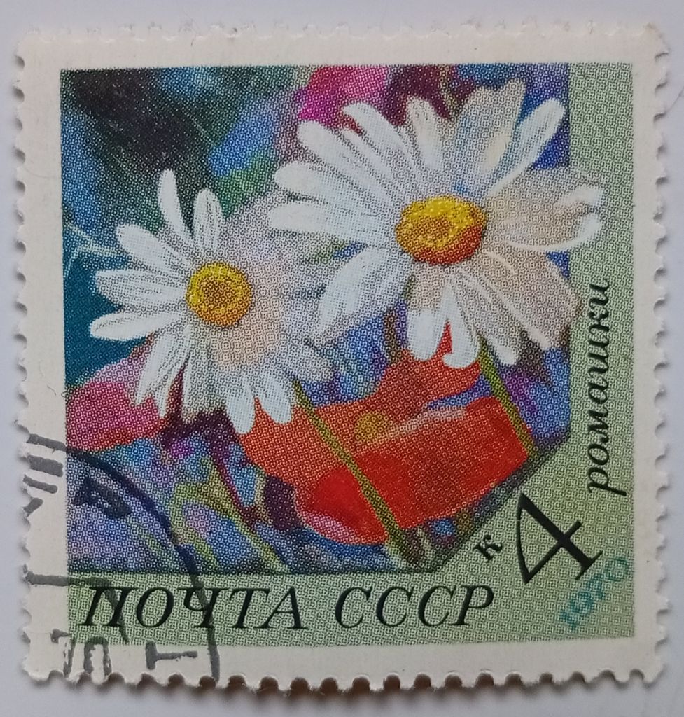 СССР 1970 Цветы, ромашки, гашеная (I) - фото фото фото 0