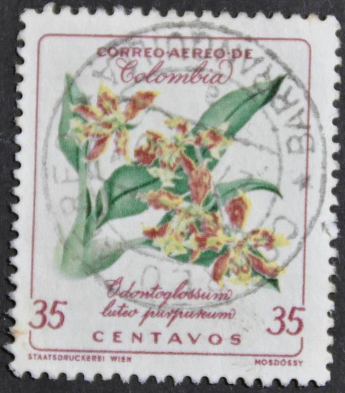 Колумбия Флора Цветы 1960 - фото фото фото 0
