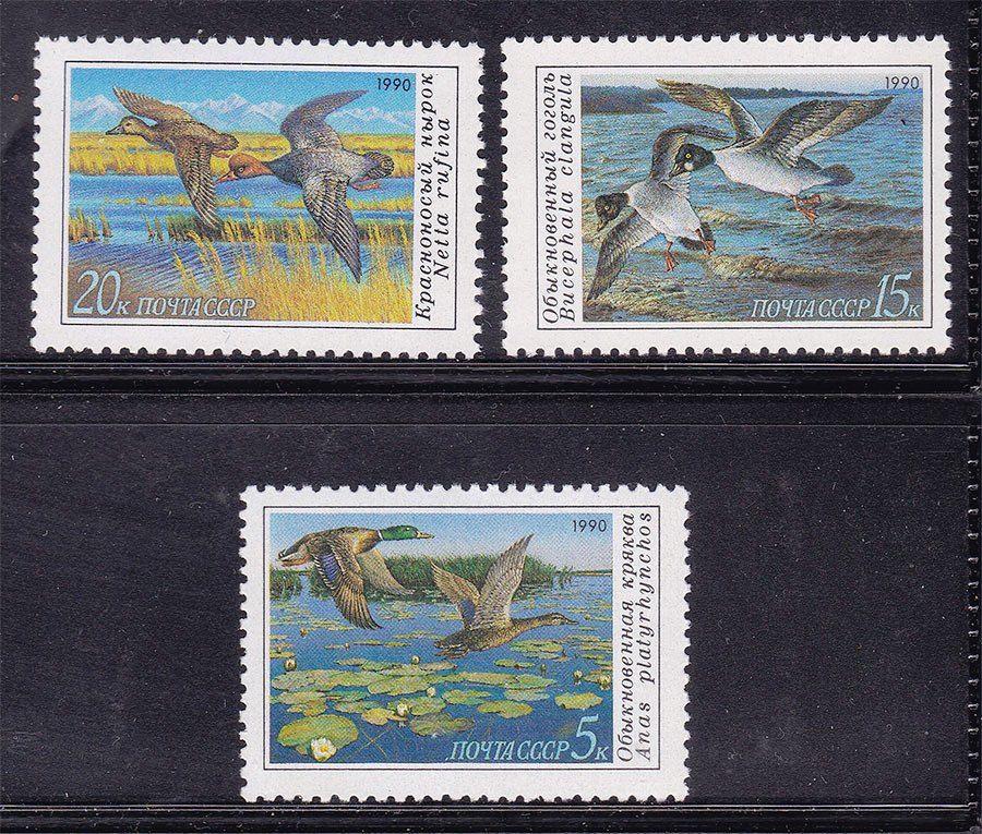 СССР  1990 г   MNH - фауна - птицы - фото фото фото 0