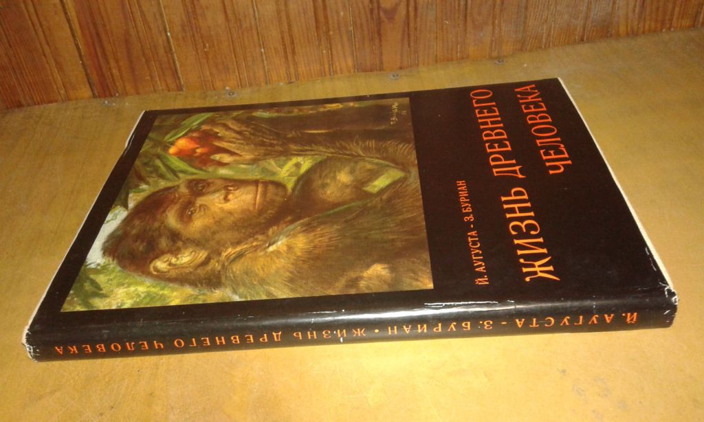 Аугуста И., Буриан З. Жизнь древнего человека - фото фото фото 0