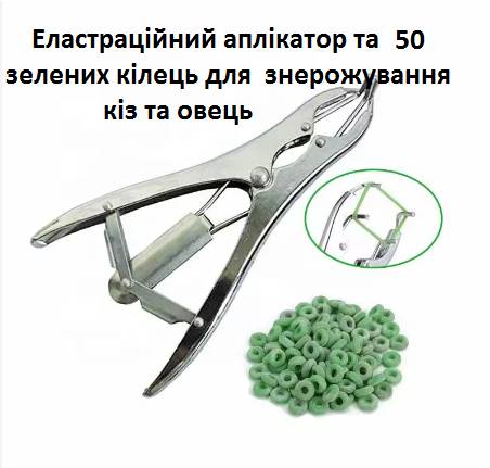 Комплект клещи-апликатор + резиновые зеленые  кольца (50 шт) для безкровной кастрации и обезроживани - фото фото фото 0