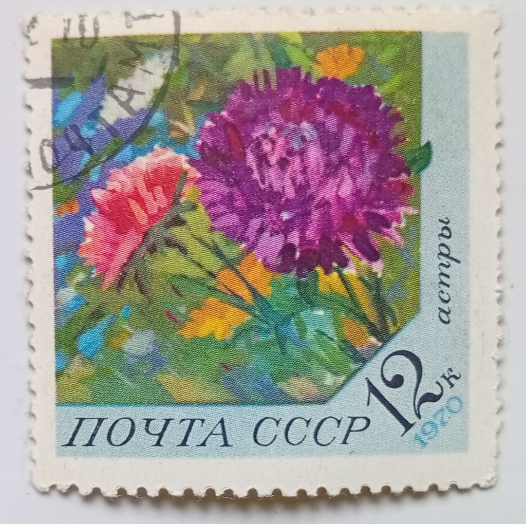 СССР 1970 Цветы, астры, гашеная - фото фото фото 0