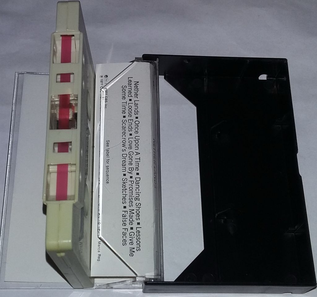 DAN FOGELBERG Nether Lands. Cassette     (US) - фото фото фото 2