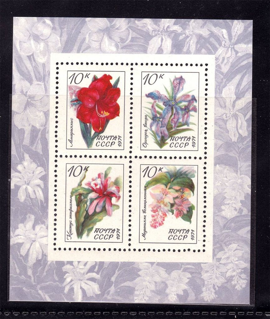 СССР 1971 г  MNH - блок - флора - фото фото фото 0