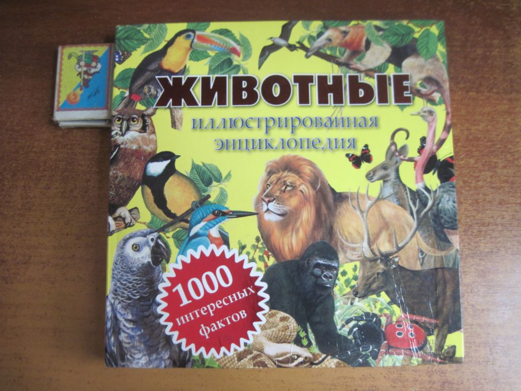 Животные. Иллюстрированная энциклопедия. КСД 2013 - фото фото фото 0