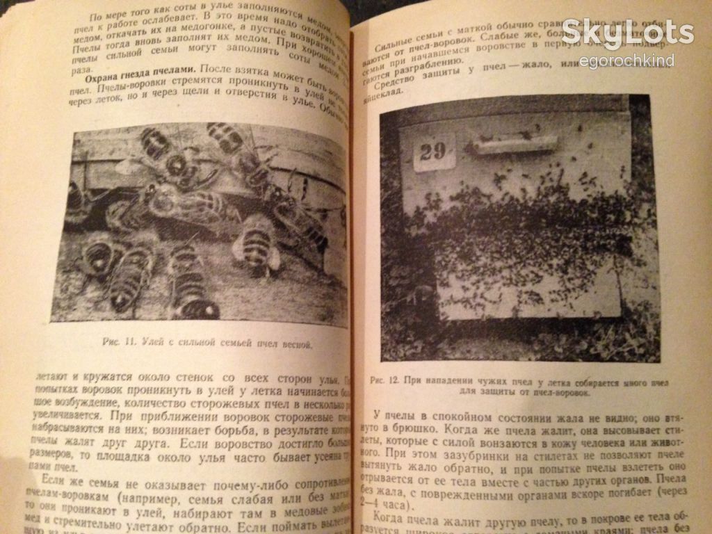 книга: ПЧЕЛА И ЗДОРОВЬЕ ЧЕЛОВЕКА 1962г. - фото фото фото 5