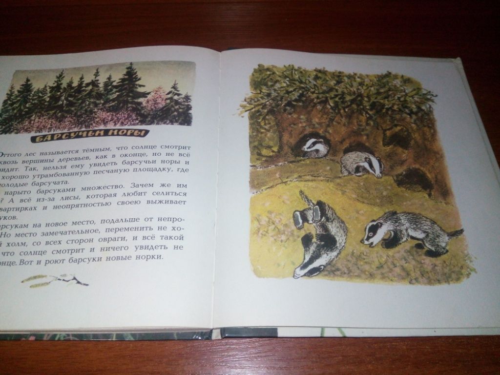 Пришвин БЕРЕСТЯНАЯ ТРУБОЧКА  (Рисунки Е. Рачёва) - фото фото фото 7