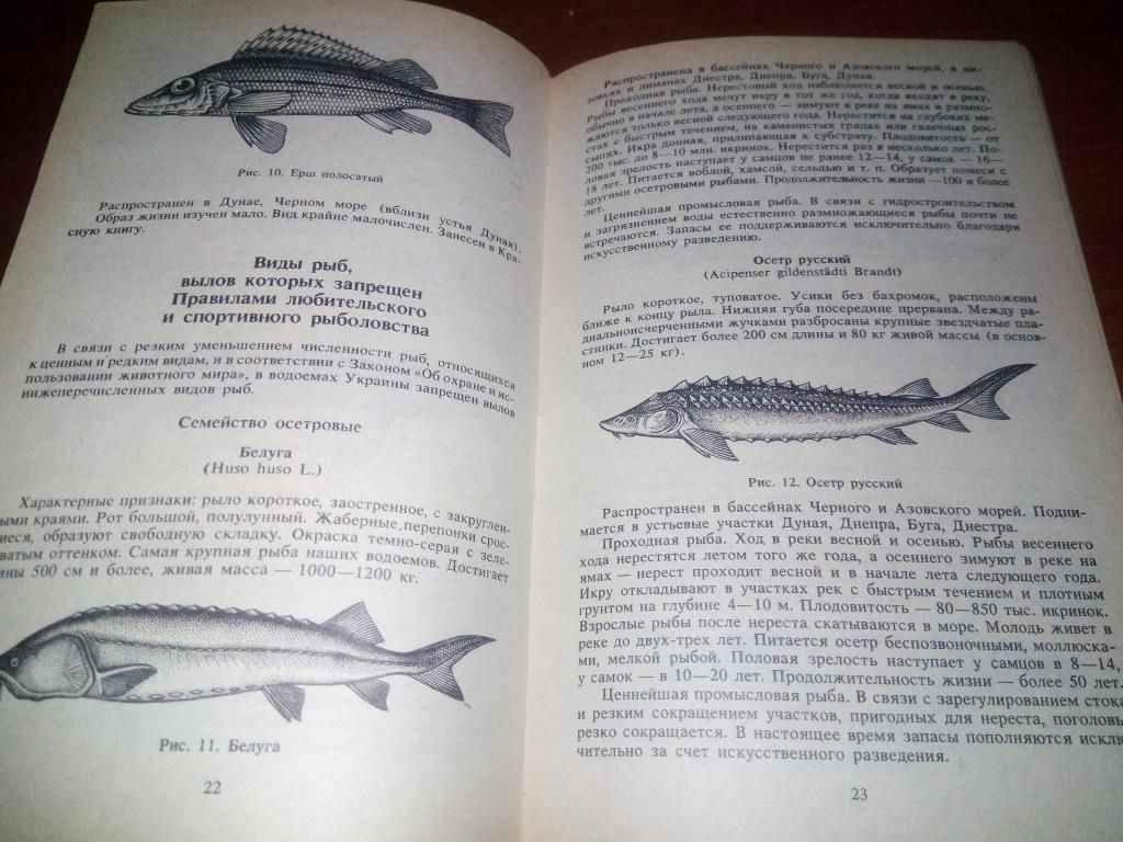 Настольная книга рыболова - фото фото фото 4