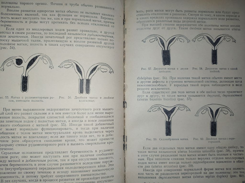 книга: УЧЕБНИК ГИНЕКОЛОГИИ. изд. V-e 1956г. - фото фото фото 10