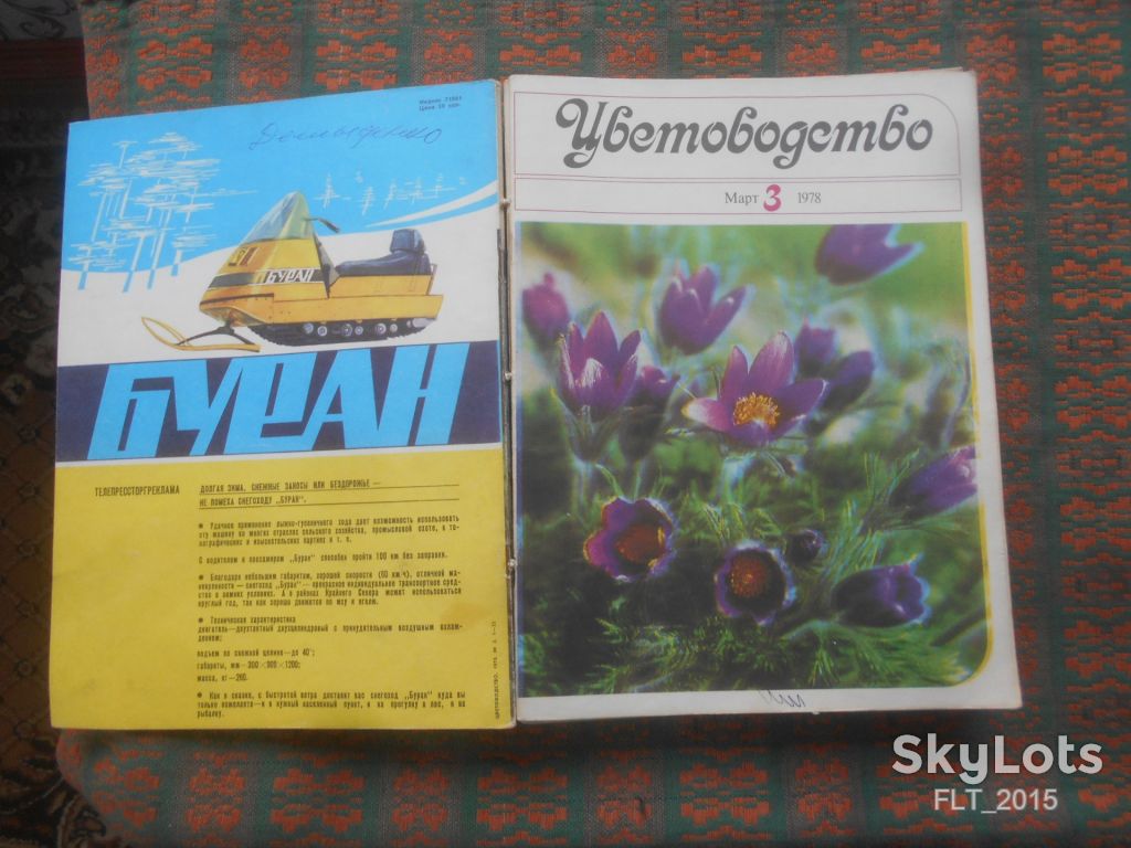 Цветоводство  1978 г.  Годовая - фото фото фото 9
