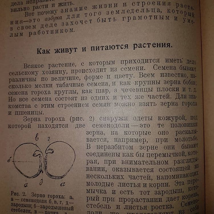 Спутник земледельца	Недокучаев 	1925 - фото фото фото 4