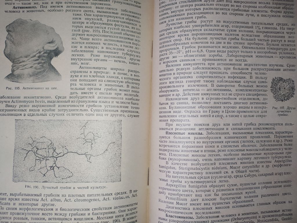 книга: УЧЕБНИК МЕДИЦИНСКОЙ МИКРОБИОЛОГИИ. II-e изд. 1949г.; - фото фото фото 8