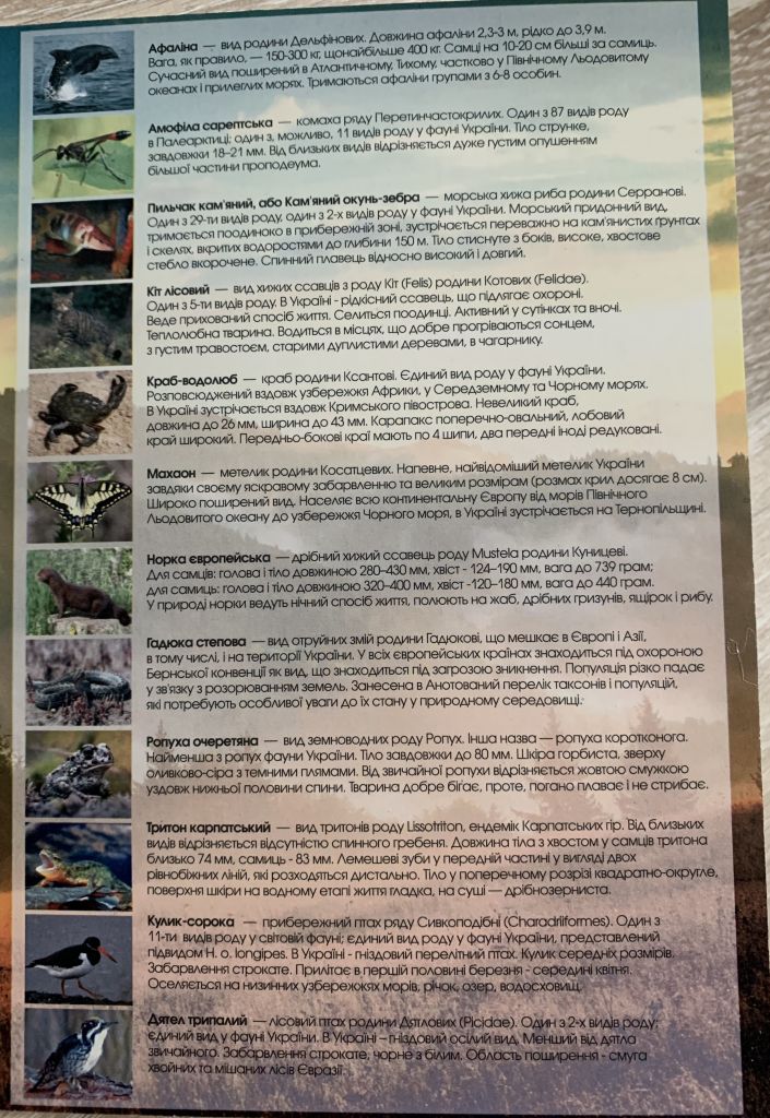 Червона Книга України АЛЬБОМ для монет 2020 НОВИНКА - фото фото фото 3