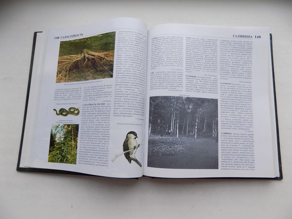 Книга Українська енциклопедія лісівництва в двох томах за ред. С.Генсірука - фото фото фото 2