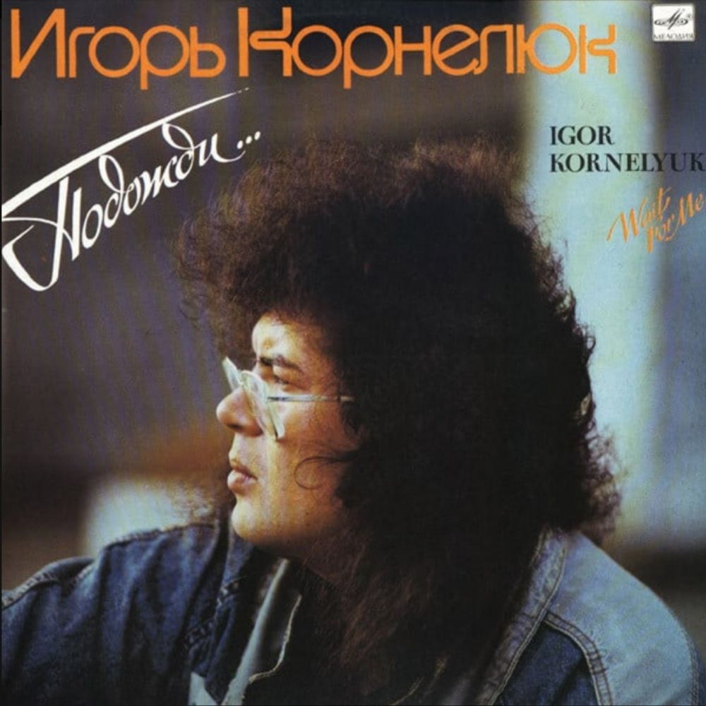 Игорь Корнелюк - Подожди - 1989.  (LP). 12. Vinyl. Пластинка. - фото фото фото 0