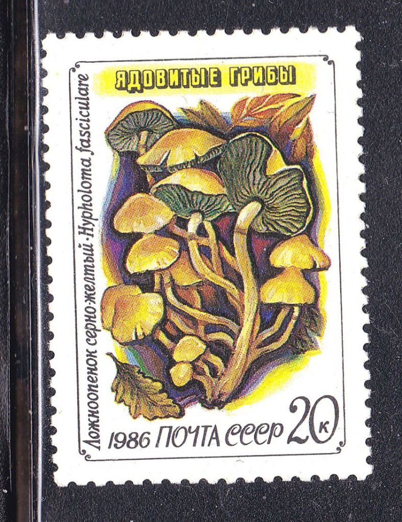 СССР  1987 г   MNH -  грибы - фото фото фото 0