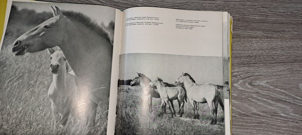Заповідник Асканія-Нова фотоальбом 1968г. - фото фото фото 7