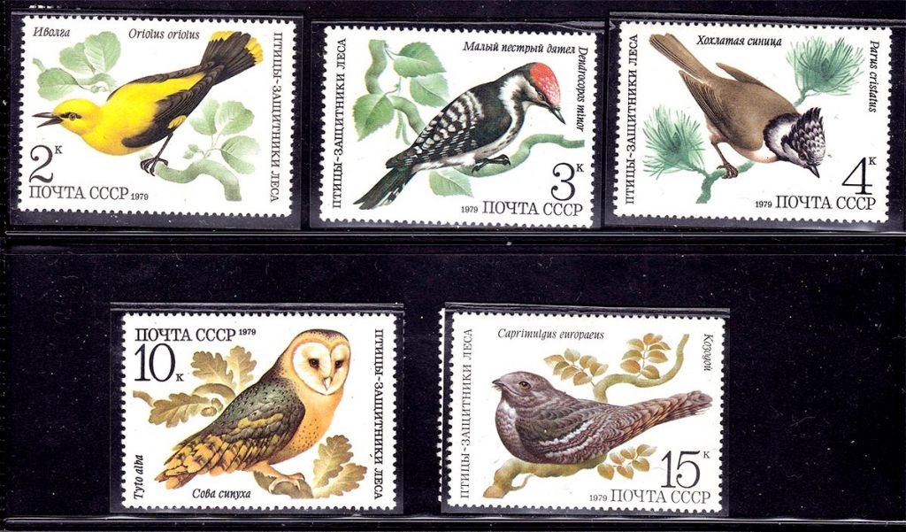 СССР  1979 г   MNH - фауна - птицы - фото фото фото 0