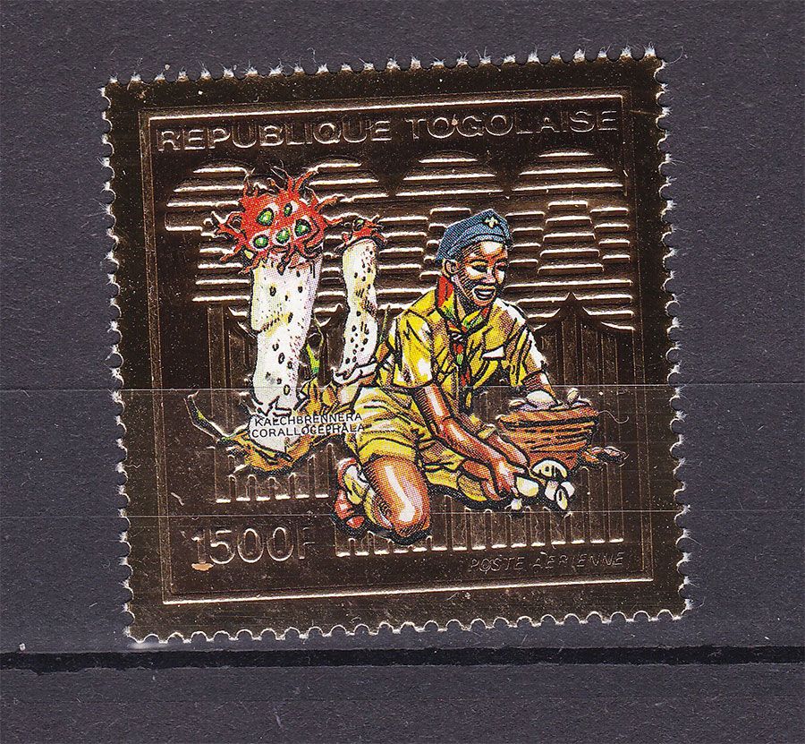 Фора . Того 1990 г  MNH - фольга - фото фото фото 0