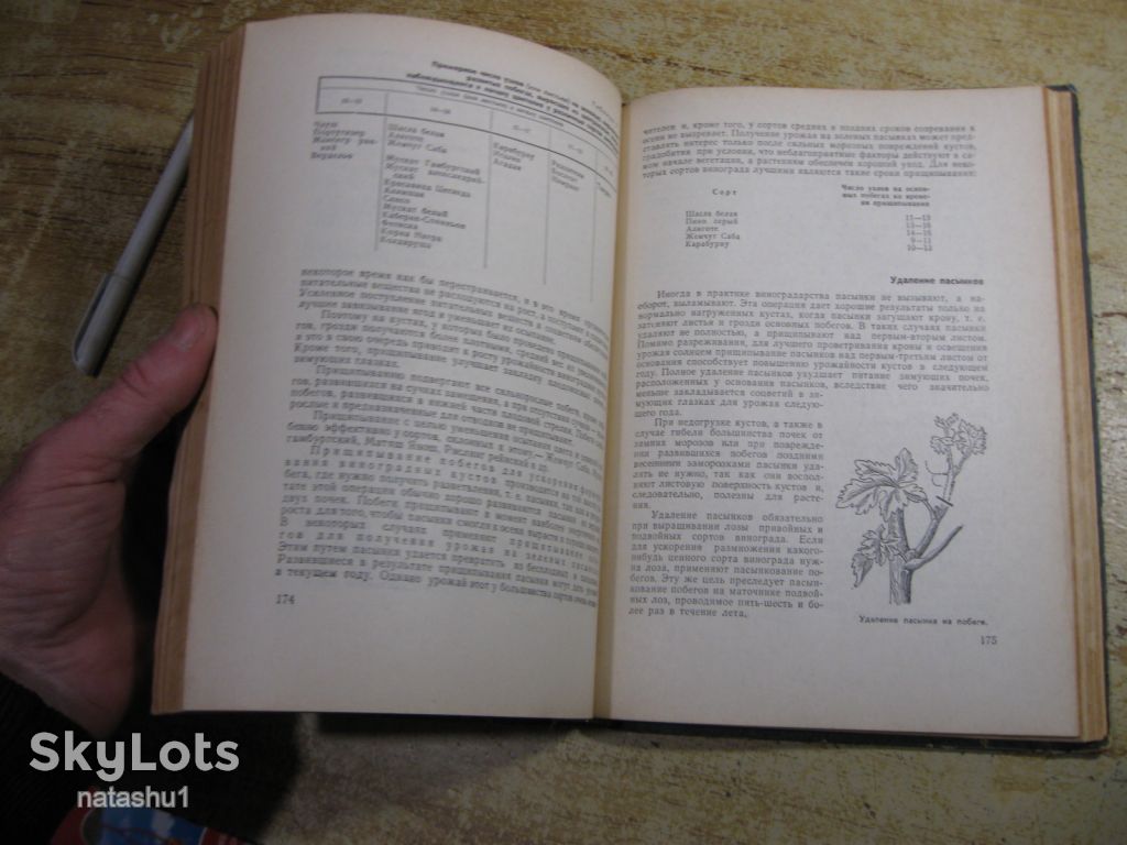 настольная книга виноградаря 1967г - фото фото фото 6