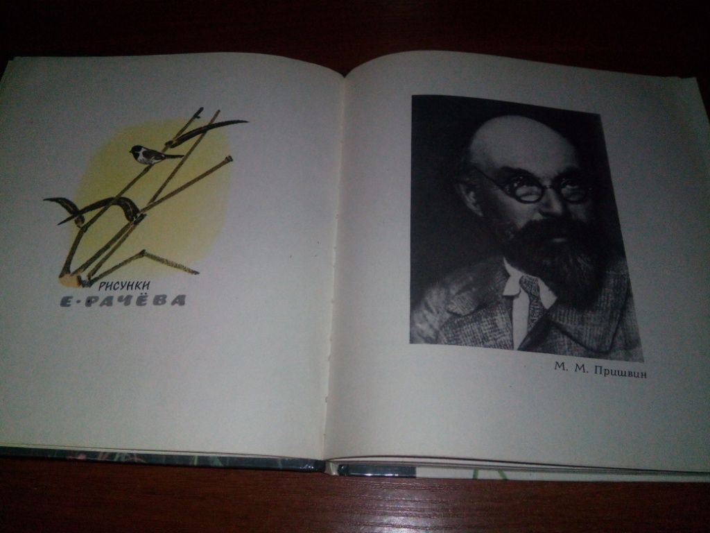 Пришвин БЕРЕСТЯНАЯ ТРУБОЧКА  (Рисунки Е. Рачёва) - фото фото фото 2